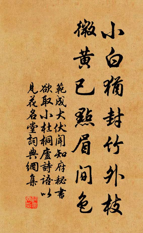 不是無情描貌，奚奴且放安單 詩詞名句