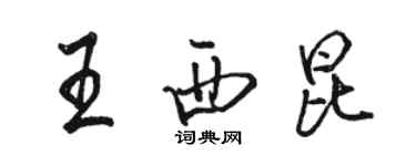 駱恆光王西崑行書個性簽名怎么寫