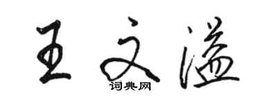 駱恆光王文溢行書個性簽名怎么寫