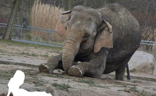1947年12月25日十二月會議召開。_歷史上的今天