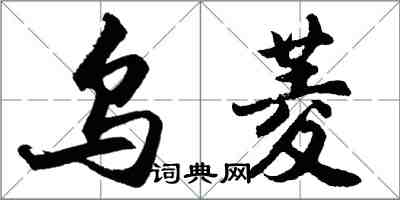 胡問遂烏菱行書怎么寫