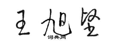 駱恆光王旭堅草書個性簽名怎么寫