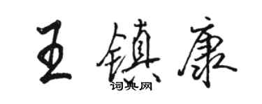 駱恆光王鎮康行書個性簽名怎么寫