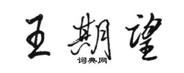 駱恆光王期望行書個性簽名怎么寫