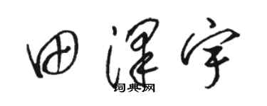 駱恆光田澤宇草書個性簽名怎么寫