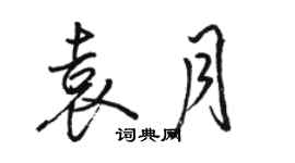 駱恆光袁月行書個性簽名怎么寫