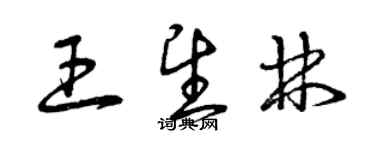 曾慶福王望林草書個性簽名怎么寫