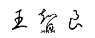 梁錦英王智良草書個性簽名怎么寫