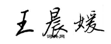 王正良王晨媛行書個性簽名怎么寫