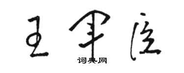 駱恆光王軍臣草書個性簽名怎么寫