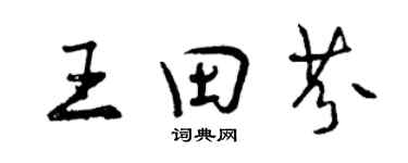 曾慶福王田芬行書個性簽名怎么寫