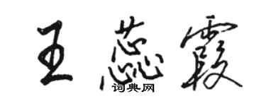 駱恆光王蕊霞行書個性簽名怎么寫