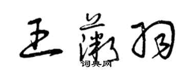 曾慶福王薇羽草書個性簽名怎么寫