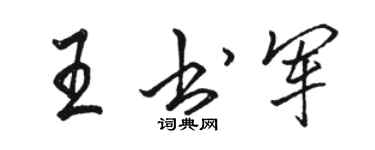 駱恆光王書軍行書個性簽名怎么寫