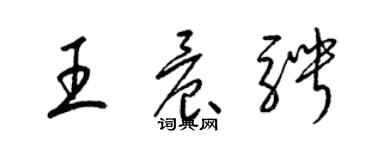 梁錦英王晨騁草書個性簽名怎么寫