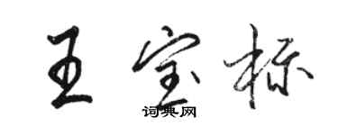 駱恆光王寶標行書個性簽名怎么寫