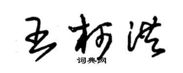 朱錫榮王柯洪草書個性簽名怎么寫