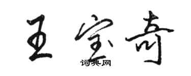 駱恆光王寶奇行書個性簽名怎么寫