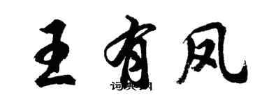 胡問遂王有鳳行書個性簽名怎么寫