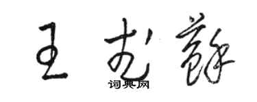 駱恆光王武蘇草書個性簽名怎么寫
