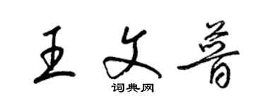 梁錦英王文普草書個性簽名怎么寫