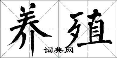 翁闓運養殖楷書怎么寫