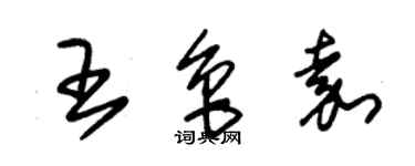 朱錫榮王魯嘉草書個性簽名怎么寫