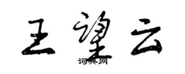 曾慶福王望雲行書個性簽名怎么寫