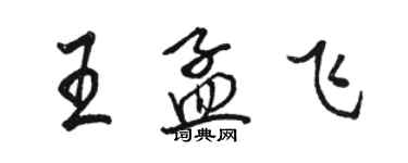 駱恆光王孟飛行書個性簽名怎么寫