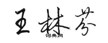 駱恆光王林芬行書個性簽名怎么寫