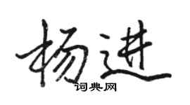 駱恆光楊進行書個性簽名怎么寫