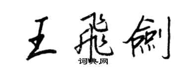 王正良王飛劍行書個性簽名怎么寫