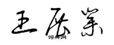 曾慶福王展業草書個性簽名怎么寫