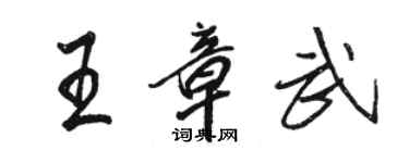 駱恆光王章武行書個性簽名怎么寫