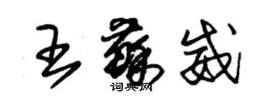 朱錫榮王蘇威草書個性簽名怎么寫