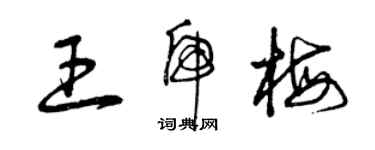 曾慶福王虎梅草書個性簽名怎么寫