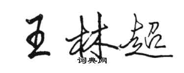 駱恆光王林超行書個性簽名怎么寫