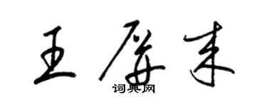 梁錦英王屏來草書個性簽名怎么寫