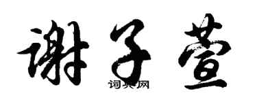 胡問遂謝子萱行書個性簽名怎么寫