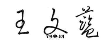 駱恆光王文藍草書個性簽名怎么寫