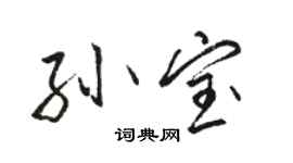 駱恆光孫寶行書個性簽名怎么寫