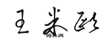 駱恆光王米歐草書個性簽名怎么寫