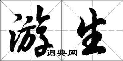 胡問遂游生行書怎么寫