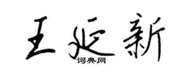王正良王延新行書個性簽名怎么寫
