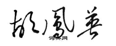 駱恆光胡鳳英草書個性簽名怎么寫
