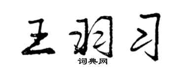 曾慶福王羽習行書個性簽名怎么寫