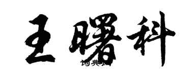 胡問遂王曙科行書個性簽名怎么寫