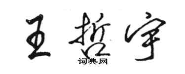 駱恆光王哲宇行書個性簽名怎么寫