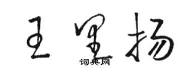 駱恆光王里揚草書個性簽名怎么寫