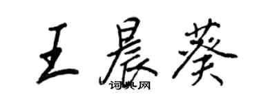 王正良王晨葵行書個性簽名怎么寫